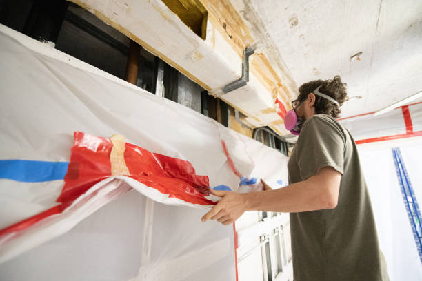 Best Mold Damage Restoration  in Cordova, AK