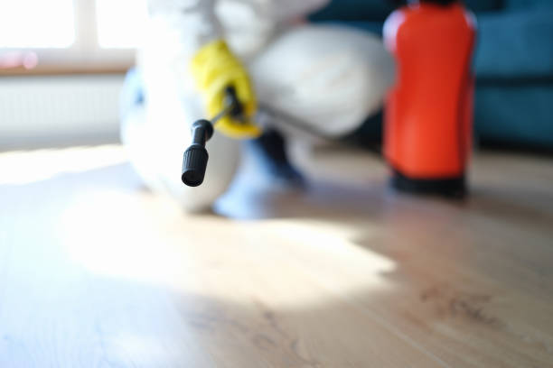 Best Residential Mold Inspection & Testing  in Cordova, AK