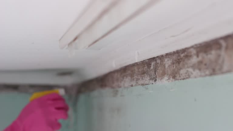 Best Real Estate Mold Inspection  in Cordova, AK